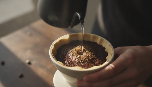 Guatemalan Coffee Beans: A Guide to the Brightness and Balance of the Highlands